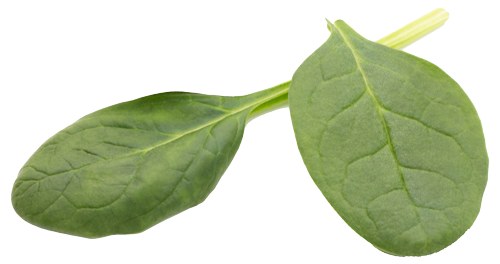 σπανάκι diet4u.gr διαιτολόγος διατροφολόγος Άρτεμις Ζερδελή